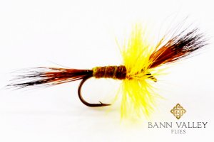 Yellow Wulff
