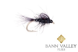 Loop Wing CDC Black