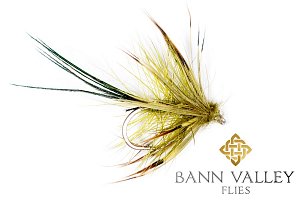 Drowned Mayfly