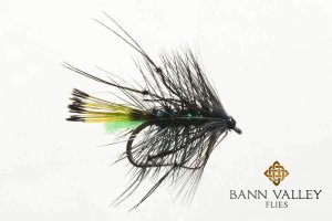 Leggy Bibio-Lime