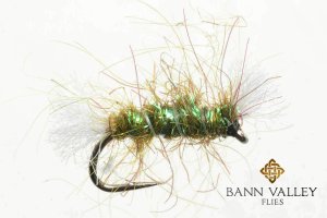 Shipmans Olive Flash