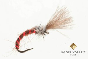 CDC Fiery Brown