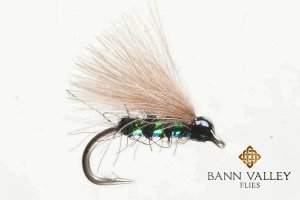 F-Fly Black