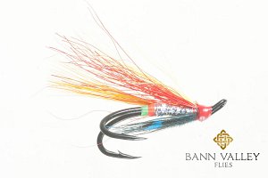 Silver Garry