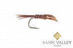 Photo of a Bann Valley Fly