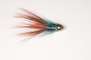 Bruiser Shrimp Cone Head
